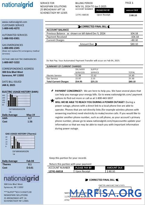 Realistic USA New York National Grid business utility bill template in Word and PDF formats